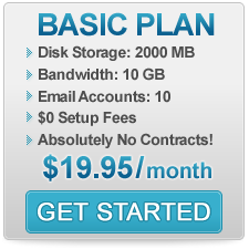 Website Hosting Basic Plan