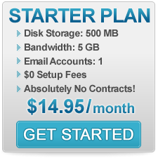 Website Hosting Starter Plan